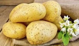 土豆bug网红吃瓜视频,揭秘娱乐圈幕后真相