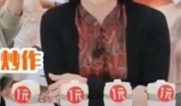 张兰爆料金星视频在线观看,在线观看揭秘幕后秘密