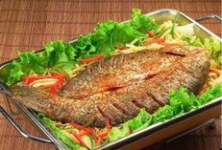 舌尖爆料烤鱼视频大全图片,烤鱼视频大全，美味瞬间尽收眼底