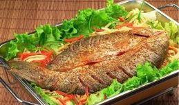 舌尖爆料烤鱼视频大全图片,烤鱼视频大全，美味瞬间尽收眼底