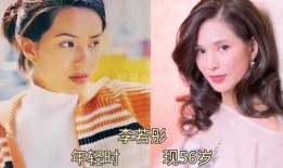 娱乐圈最大的爆料集合,揭秘明星背后的秘密与真相