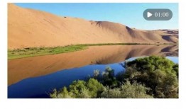 阿拉善前几年的爆料新闻,前几年爆料新闻背后的真相与反思